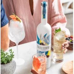 Belvedere Vodka Limited Summer Edition 700mL