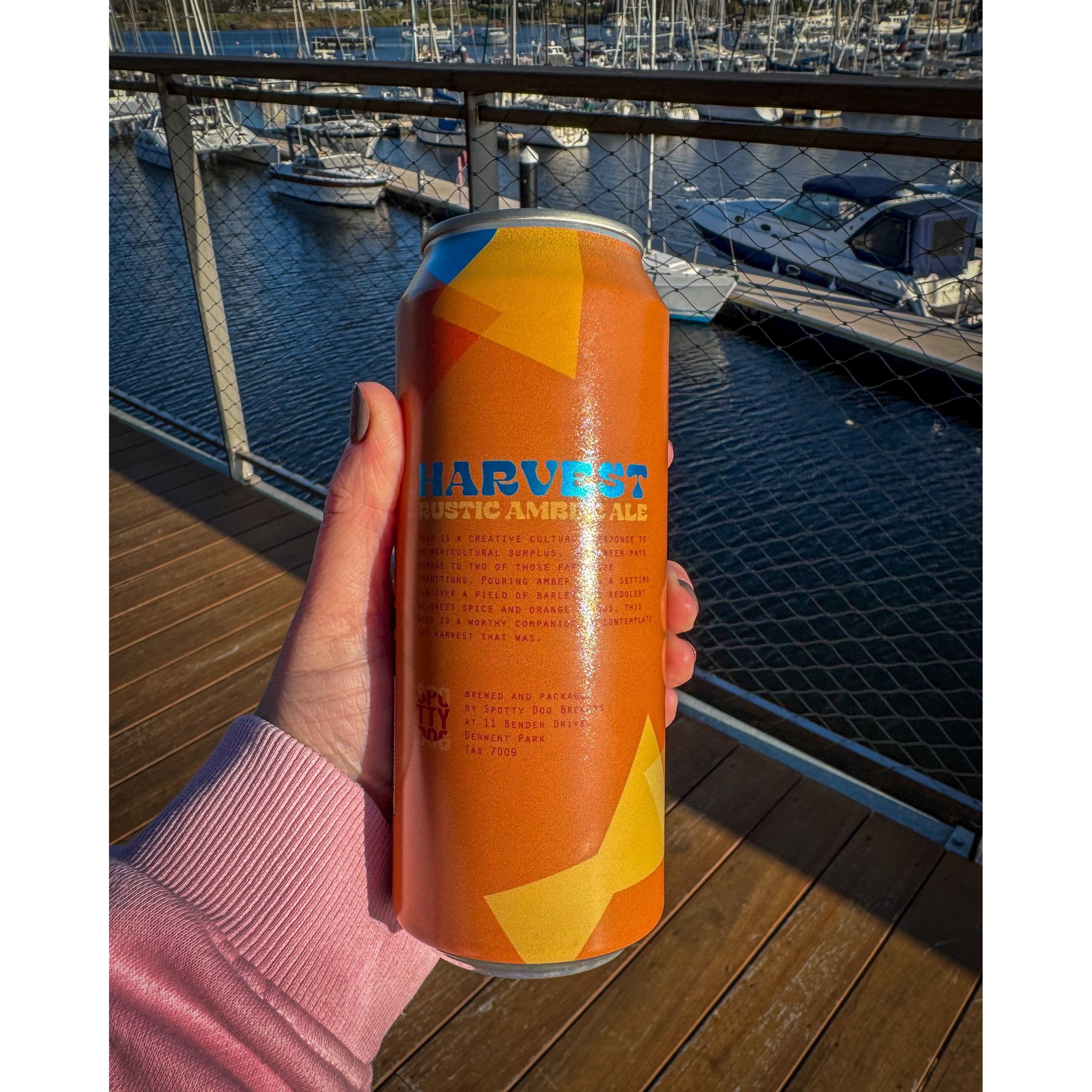 Spotty Dog Harvest Rustic Amber Ale