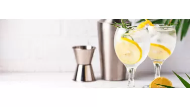 Gin: The Most Popular Ingredient In Mixed Drinks
