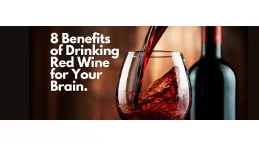8 Benefits of Drinking Red Wine for Your Brain