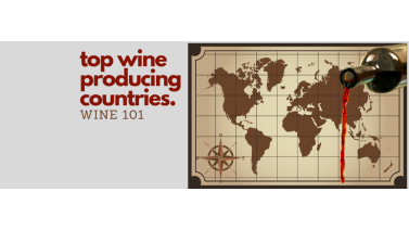 Which Countries Produce the Best Wine?