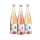 Hairy Armadillo Sample Pack Non-alcoholic Sparkling Tea 3 x 750ml Bottles