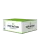 Hop Nation Mind Ya Head XPA 355mL