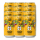 Mash Gang Journey Juice Fruited Hazy IPA 330ml