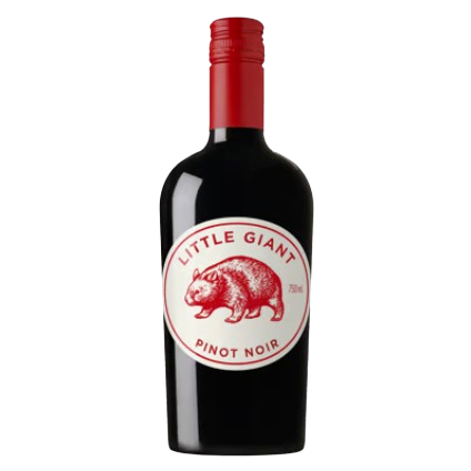 Little Giant Pinot Noir 2023