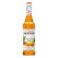 Monin Tropical Island Blend Syrup 700mL