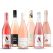 Rose Radiance: Premium Rose Collection (6 Pack)