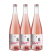 Hairy Armadillo Darjeeling Blush Non-alcoholic Sparkling Tea 3 x 750ml Bottles