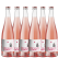 Hairy Armadillo Darjeeling Blush Non-alcoholic Sparkling Tea 6 x 750ml Bottles