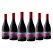 Wynns Coonawarra Estate Reframed Shiraz Riesling (6 x 750ml)