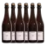 Odd Bird Sparkling Rosé 750mL