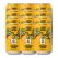 Mash Gang Journey Juice Fruited Hazy IPA 330ml