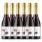 1920 Wines Non-Alcoholic Sparkling Shiraz 750mL