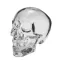Crystal Head Vodka 12x750Ml