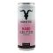 Ignite Hard Seltzr Watermelon (6X330ML)