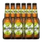Bilpin Non-Alcoholic Apple Cider 330mL