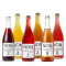 NON's Flavour Odyssey: 6 Unique Blends