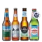 The Artisan Non-Alc Brew Collection (24 Pack)