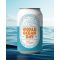 Deep South Brewing World Ocean Day Lager