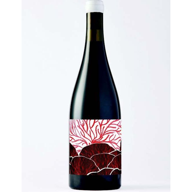 Future Perfect House Wine 2024