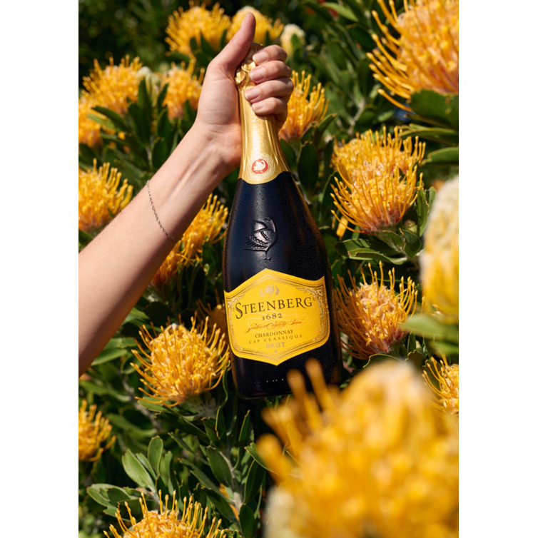 Steenberg 1682 Chardonnay Cap Classique (12.5% Alc/Vol)