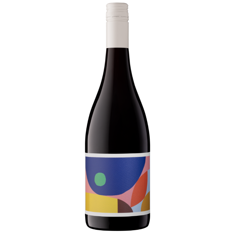 Kin Shiraz 2023