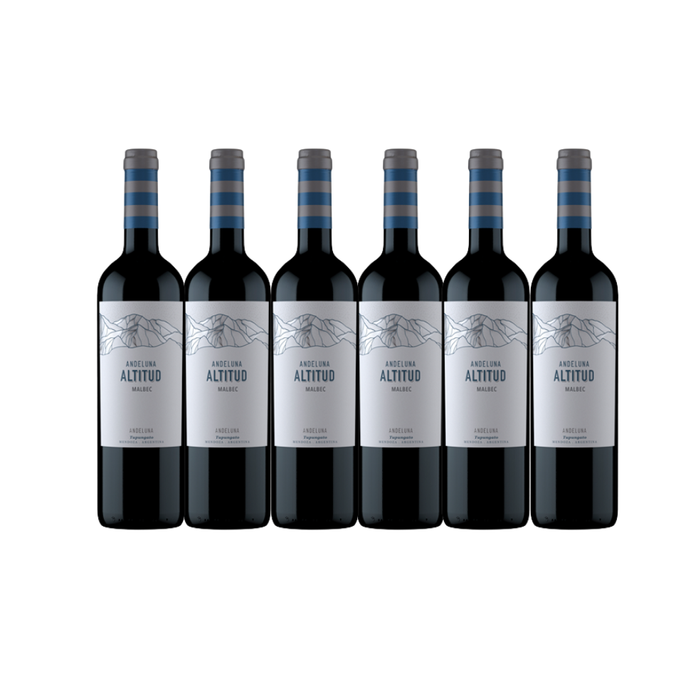Andeluna Altitud Malbec 2020